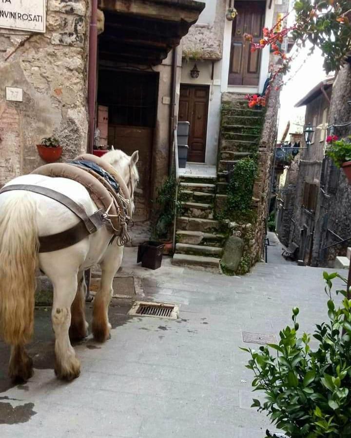 Casetta Nel Borgo 올레바노 로마노 외부 사진