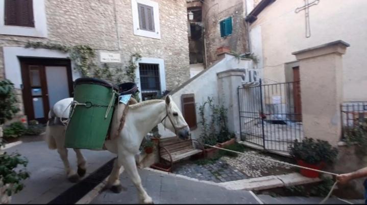 Casetta Nel Borgo 올레바노 로마노 외부 사진