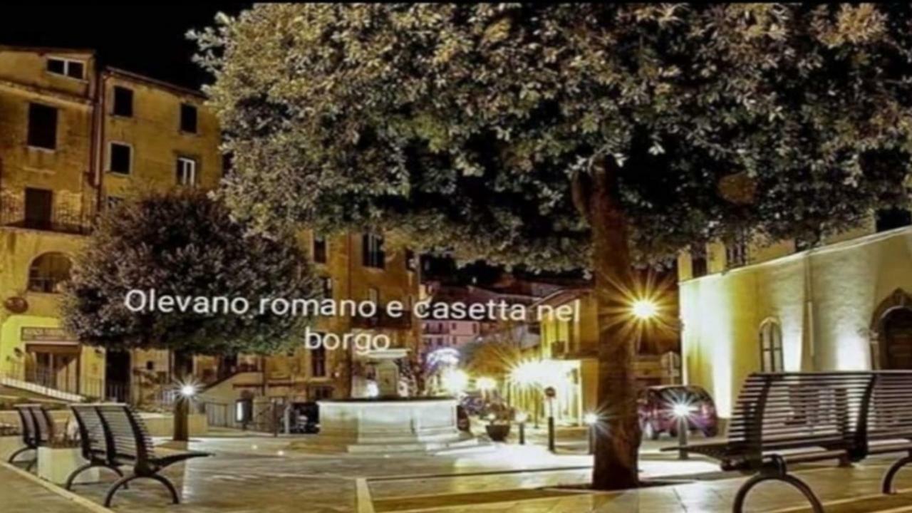 Casetta Nel Borgo 올레바노 로마노 외부 사진